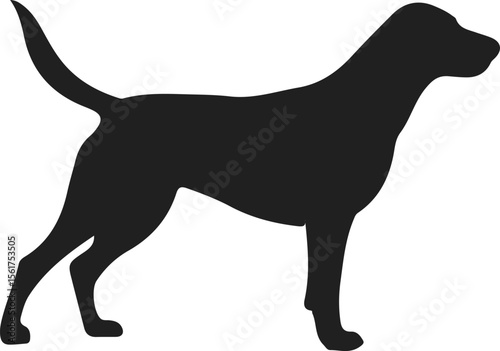 silhouette of a pointer dog on a white background