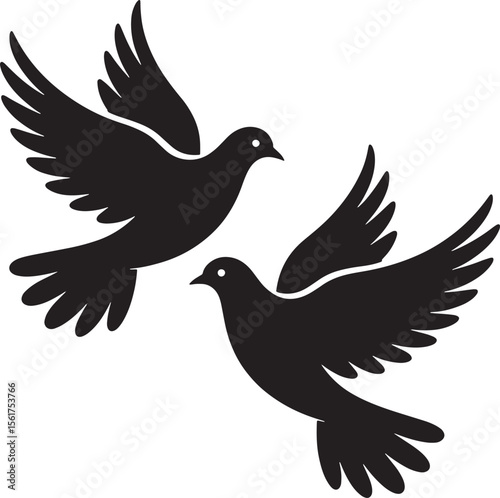 dove on a white background