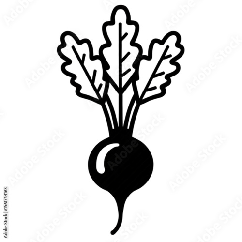 Black and white radish with leaves in a minimalist style