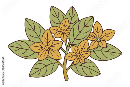 Vintage botanical sketch of assorted herbal plants for natural designs