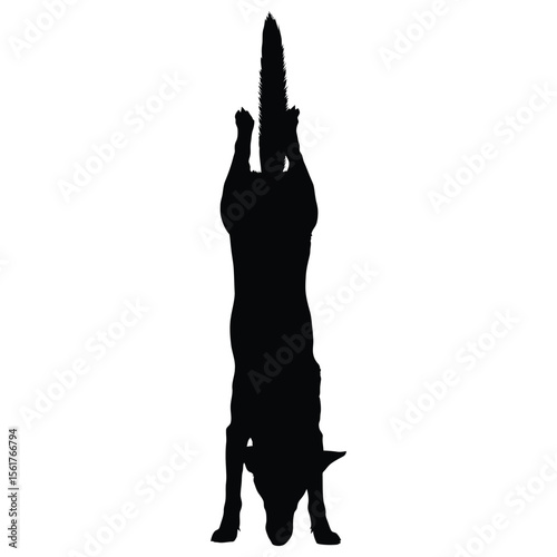 German Shepherd Funny Yoga Silhouette Vector, German Shepherd Dog Silhouette
