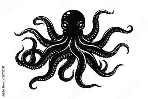 vector illustration of a octopus