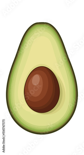 Avocado Half Vector Illustration