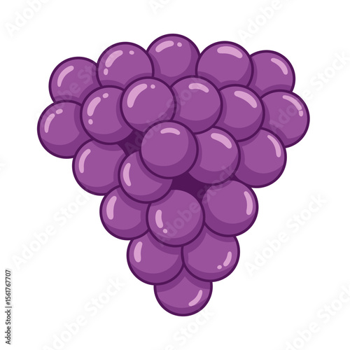 Purple Grape Bunch Vector Illustration