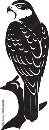 Peregrine falcon perched black silhouette, Strong falcon on branch artwork