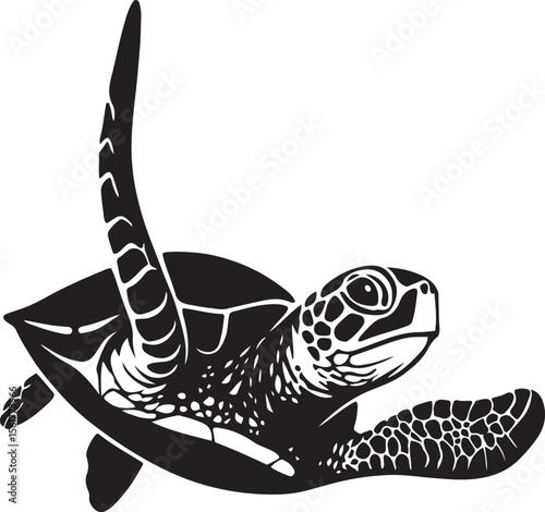 Elegant sea turtle black and white, Graceful sea turtle vector sketch