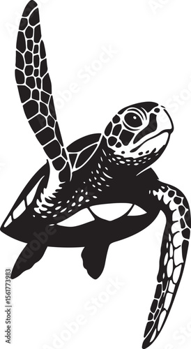Baby sea turtle silhouette design, Young turtle black white minimal art