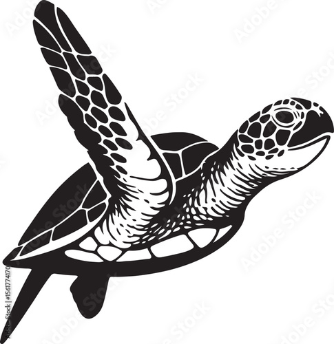 Turtle in flight bold illustration, Flying turtle ocean vector art
