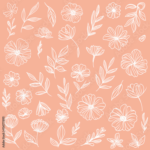 Floral Pattern Illustration Featuring Delicate White Line Art on a Soft Coral Background