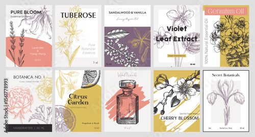 Vector set of botanical perfumery and cosmetic product label templates. Vintage hand-drawn illustration. College-style perfume designs. NOT AI generated 