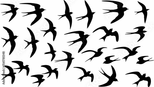 Silhouette illustration of multiple swallow birds in various flying positions and orientations on a white background