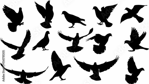 Silhouette illustration of fifteen pigeons in various flying and standing positions isolated on white background