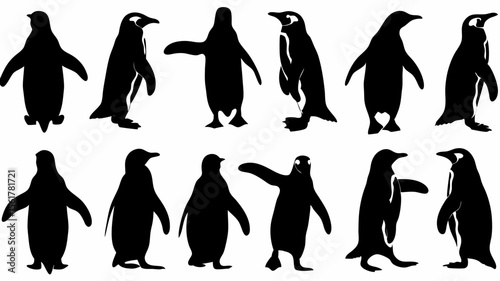 Silhouette illustration showing a group of penguins in various poses on a white background