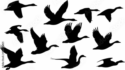 Silhouette illustration of a flock of geese in various flying positions against a white background view image