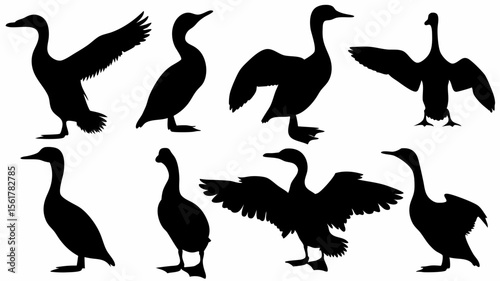 Silhouette depiction of eight cormorants in various poses against a white background image view