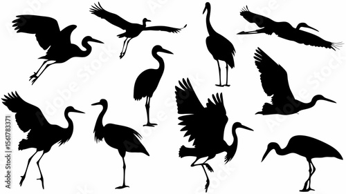Silhouette illustration of various cranes in flight and standing postures on white background