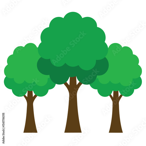 Three mature deciduous trees with sturdy trunks in a natural landscape