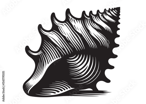 conch shell logo silhouette vector, conch shell logo icon silhouette, silhouette seashell aquatic animal black design, ornate black seashell logo silhouettes vector on a white background
