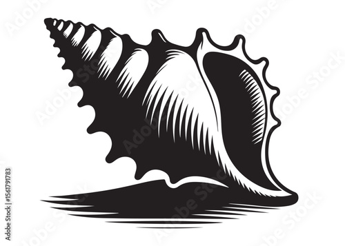 conch shell logo silhouette vector, conch shell logo icon silhouette, silhouette seashell aquatic animal black design, ornate black seashell logo silhouettes vector on a white background
