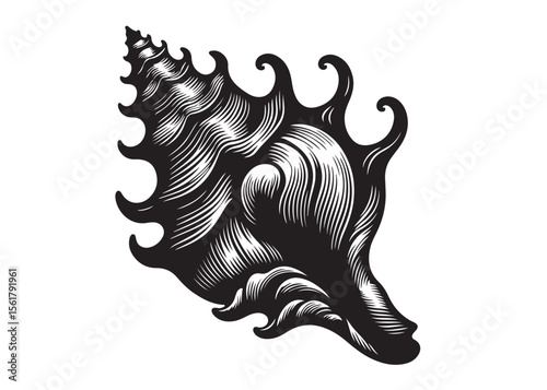 conch shell logo silhouette vector, conch shell logo icon silhouette, silhouette seashell aquatic animal black design, ornate black seashell logo silhouettes vector on a white background