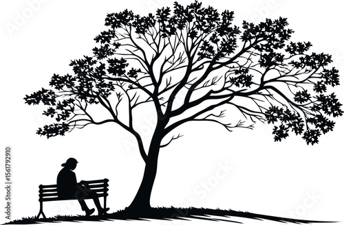 silhouette of a tree with a bench underneath .