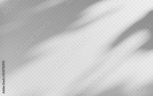Abstract shadow overlay from tree branch on a transparent background.