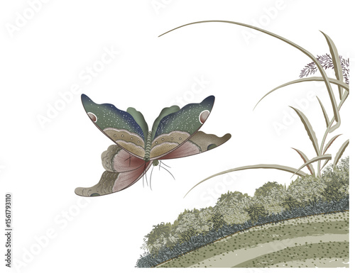 Chinese painting The butterfly is fluttering in the grass
