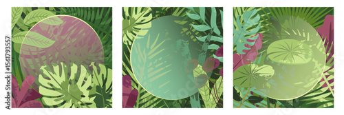 Tropical leaves frame backgrounds. Nature, exotic plants, flowers, botanical border, floral banner, card design. Leaf greenery, lush garden, botany pattern. Flat vector illustration set