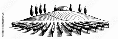 Tuscan vineyard landscape with farm house, hills, cypress trees, Italy illustration