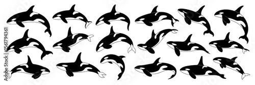 Orca whale silhouettes, killer whales ocean wildlife sea animals mammal set