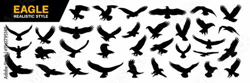 Eagle silhouette set, flying predatory birds, eagle realistic style vector illustrations, wildlife