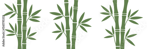 Green bamboo stalks and leaves illustration, plants, botanical, nature, design element, zen, asian, oriental