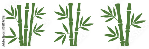 Green bamboo stalks, nature illustration, plant branches, asian zen garden elements