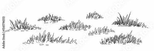 Grass illustration, garden, design element, nature, plant, line art, sketch, drawing, landscape, meadow