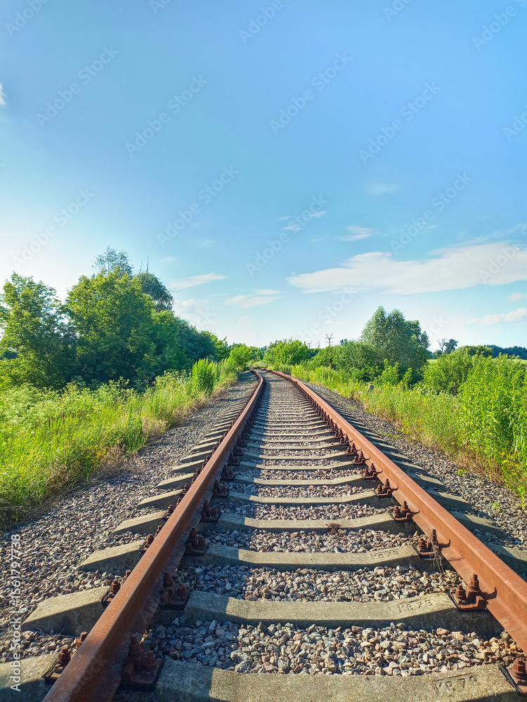 Fototapeta premium railway, rails through forest and field