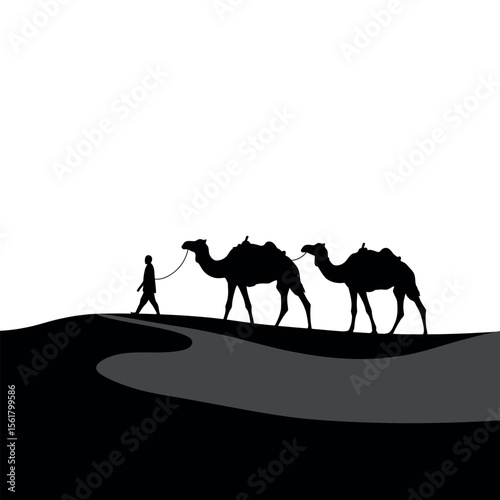 silhouettes of camels in the desert