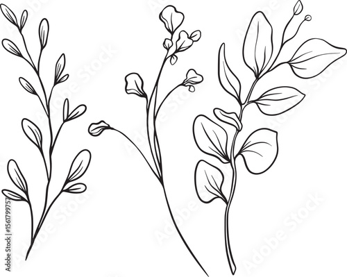 Two graceful branches stretch with soft curvature, each adorned with varied leaves an airy composition that radiates organic flow and delicate hand-drawn charm