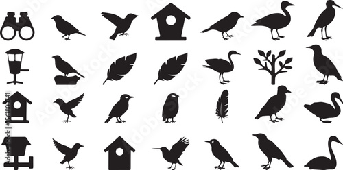 Birds feeders houses binoculars feathers tree vector