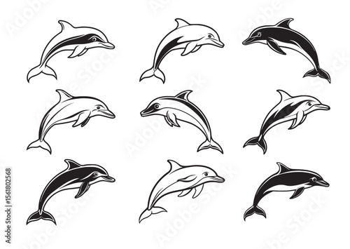 Dolphin Silhouette, Dolphin Vector, Dolphin Icon Set
