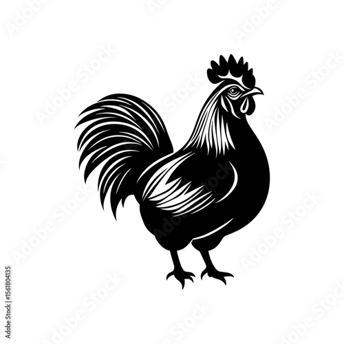 Chicken Vector Silhouette