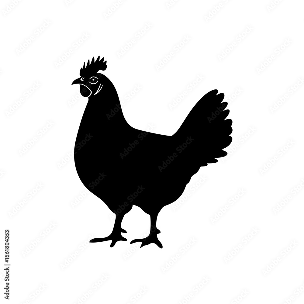 Fototapeta premium Chicken Vector Silhouette