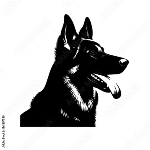 German Shepherd Dog No 12 Vector Illustration