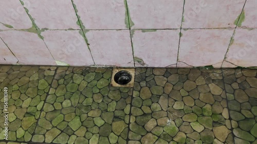 close-up scene of a drain in a wet bathroom floor with old tiled walls and floor