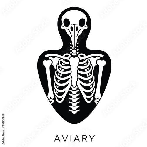 Black and white vector illustration of a detailed front view bird skeleton with clean lines and subtle shadows in minimalist style