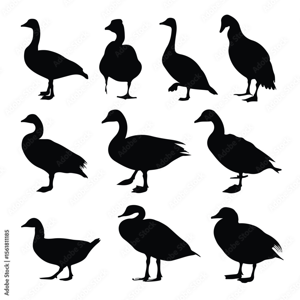 Obraz premium goose silhouette