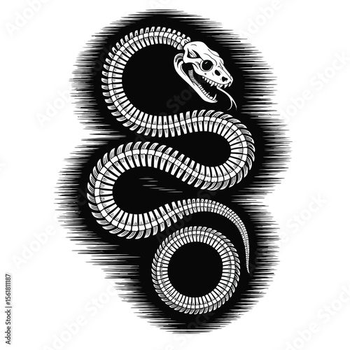 Black and white vector illustration of a detailed snake skeleton coiled tightly with smooth shading and intricate bone structure