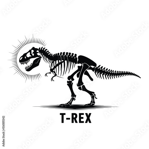 Black and white vector illustration of a detailed Tyrannosaurus Rex skeleton with dramatic eye socket lines and imposing silhouette