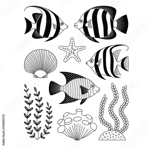 Black and white vector illustration set of underwater marine life including fish, shells, and seaweed in clean minimalistic style