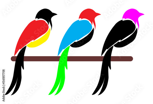 birds on a branch