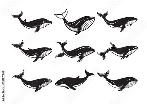 Whale Silhouette, Whale Vector, Whale Icon Set